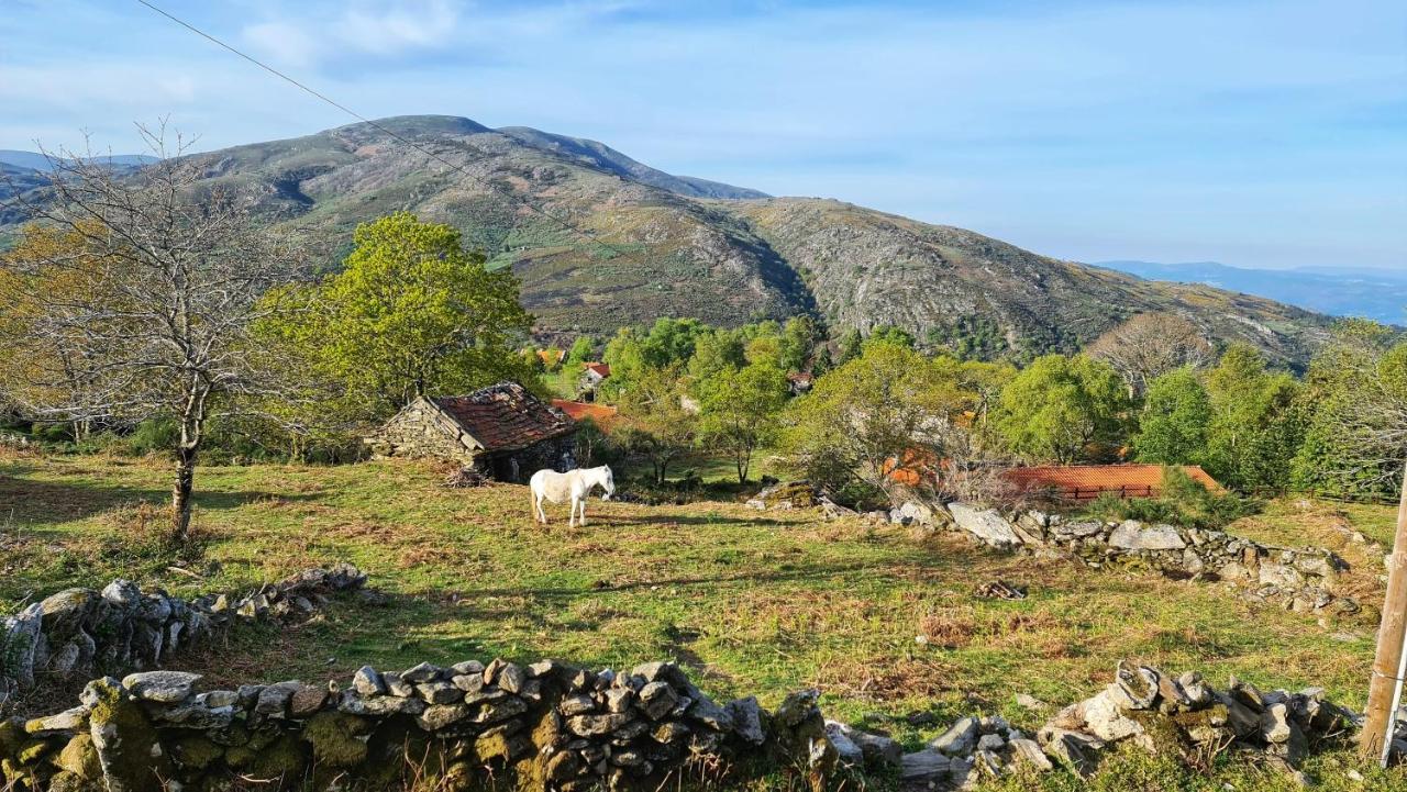 Вилла Cardenha Da Bessada Branda de Santo Antonio Экстерьер фото